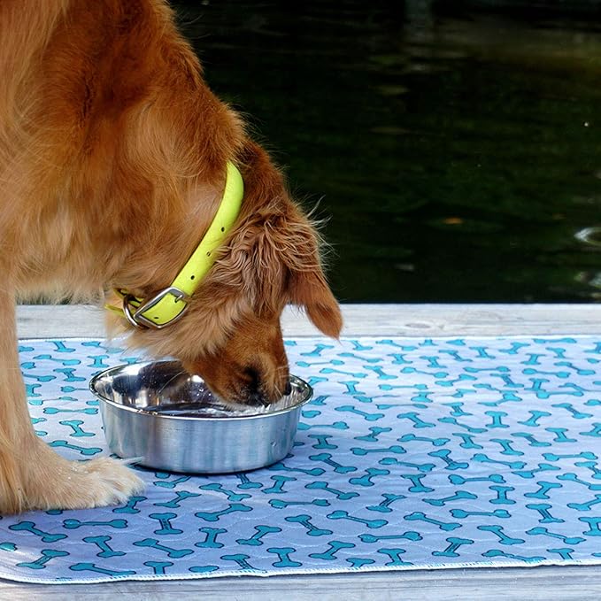 rocket & rex Premium Washable Pee Pads for Dogs, Waterproof & Reusable Puppy Pads for Potty Training, Whelping, Lining Crates & More, Guaranteed for up to 300 Washes, 30" x 36" (Pack of 2)