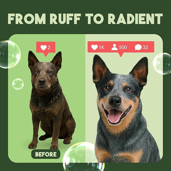 TropiClean Deodorizing Dog Shampoo for Smelly Dogs, Professional Dog Shampoo, Powerful Odor Control, Puppy Safe, Aloe & Coconut Scent, 1 Gallon