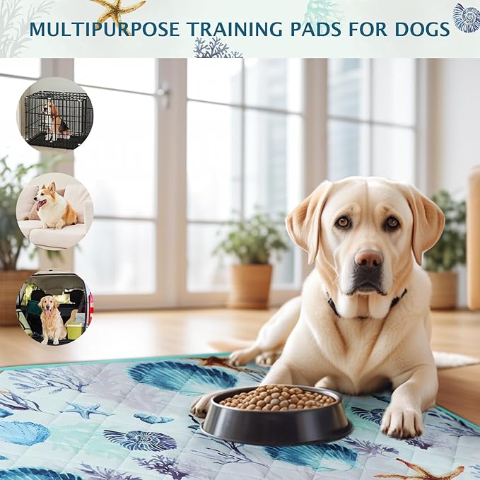 IEUUMLER Washable Pee Pads for Dogs, 2 Pack Reusable Waterproof Puppy Pads, Non-Slip Super Absorbent Dog Training Pad for Playpen Crate Bed EU012