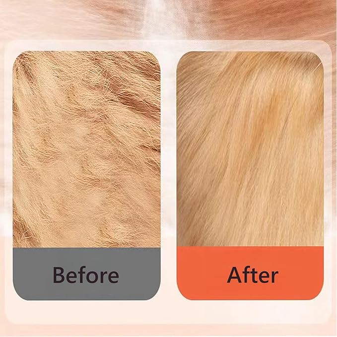 BoBow Cat Steam Brush for Shedding, 4 in 1 Rechargeable Steam Pet Brush for Cats and Dogs, Anti-Static, Massage, Cleaning, Shedding& Combing All in One! (Beige)