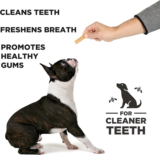 Hive Chew Stick Treats for Small Dogs 2 PackÑ Healthy, Non-GMO Project Verified, Natural Peanut Butter Flavored, Natural, Vegetarian Chews, Made in The USA (Chew Sticks, Small Breeds)