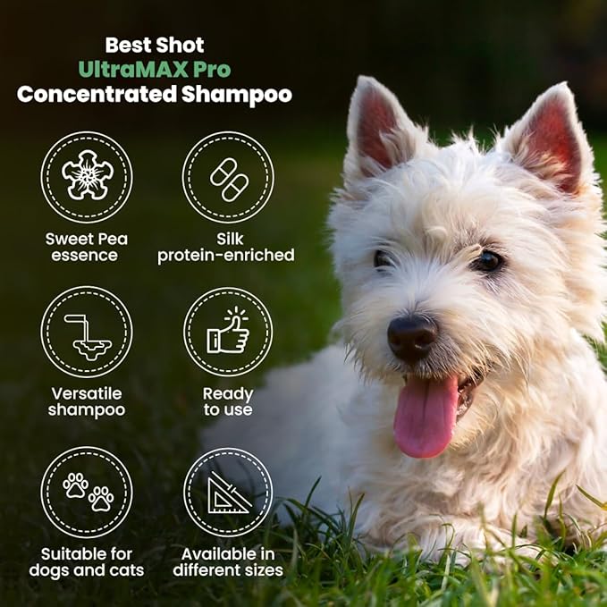 Best Shot UltraMAX Pro 4-in-1 Shampoo, Versatile Pet Shampoo, Ideal Pet Grooming Supplies, Ready to Use, Sweet Pea Essence, 1.1 Gallon