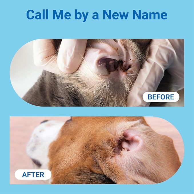 Dog Ear Wipes, Finger Design Pet Ear Cleaner Wipes for Dogs and Cats, Soothing Forest Formula for Itchy Ears, Infection Solution, Gentle Yeast Remover and Puppy Ear Wash Wipes, 60ct