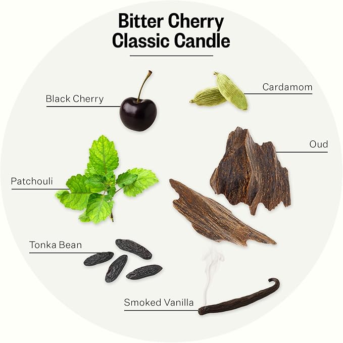 Apotheke Signature Candle Scented Candles for Home, Bitter Cherry - 10.5 oz Seasonal Soy Wax Jar Candle - Long-Lasting Fall Scented Fragrance with Perfume-Grade Fragrance Oils