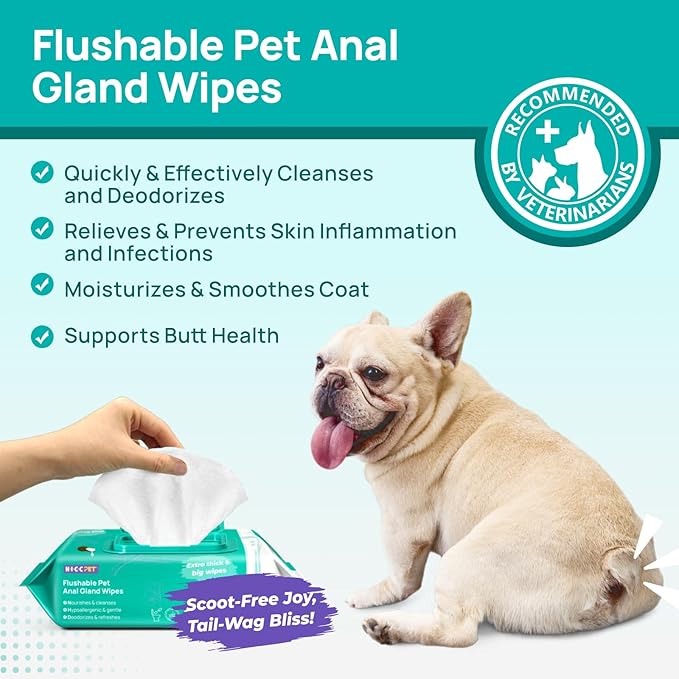 HICC PET Wipes for Dogs & Cats, Vet Recommended Cleaning Deodorizing & Soothing Allergy Infections Anal Gland Wipes, Hypoallergenic Hydrating & Nourish Fur Dog Grooming Wipes for Paw, Butt, Body