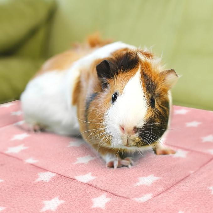 3PCS Guinea Pig Bed Soft Rabbit Bedding Cage Liner Warm Bunny Mats Pee Pads Fleece Blanket Plush Hamster Sleep Beds Ferret Squirrel Hedgehog Rat