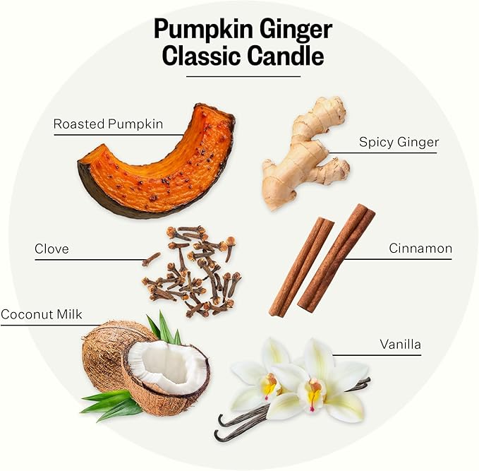 Apotheke Signature Candle Scented Candles for Home, Pumpkin Ginger - 10.5 oz Seasonal Soy Wax Jar Candle - Long-Lasting Fall Scented Fragrance with Perfume-Grade Fragrance Oils