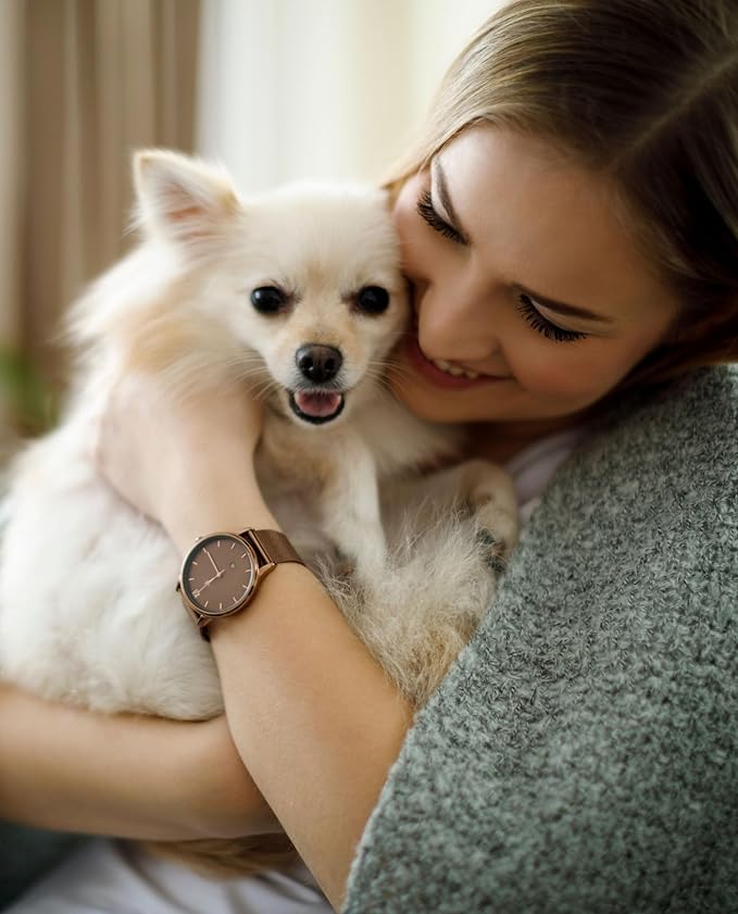 Showseason Animal Products Bath & Brush Therapies® Cupcake Pet Cologne 12.5 oz. For Dogs | Long-Lasting Odor Eliminator | Paraben-Free | Biodegradable and Non-Toxic | Made in USA