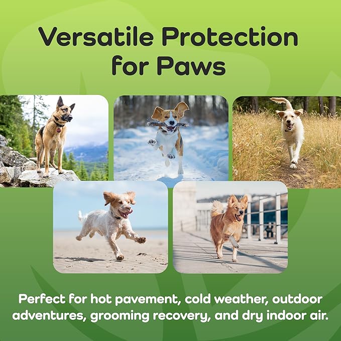 Therapeutic Paw Butter for Dogs - Non-Toxic, Lick-Safe Nose Balm for Dogs + Dog Paw Balm for Dry Cracked Paws - Moisturizing Paw Wax with Coconut Oil for Dogs, Shea Butter, & Vitamin E- 50mL.