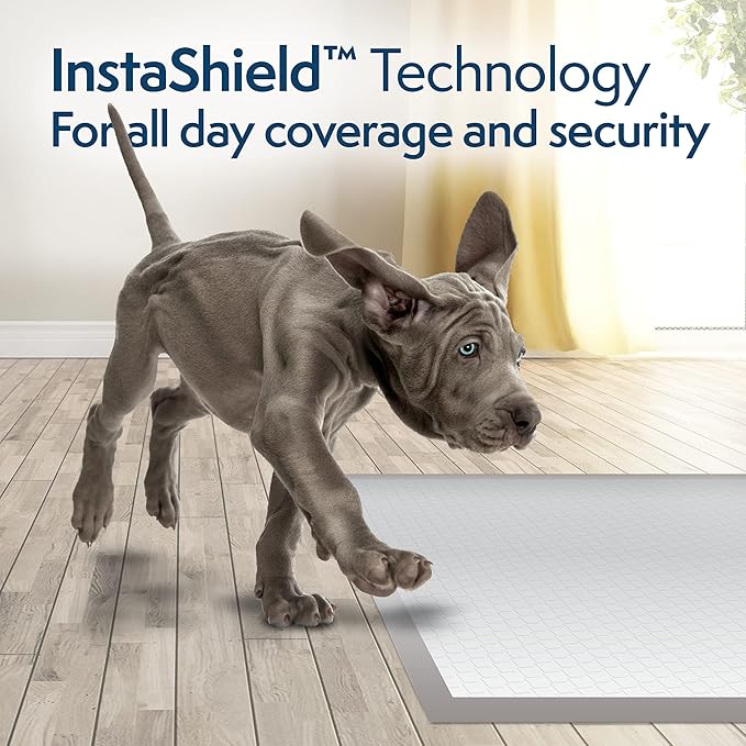 Simple Solution FragranceSmart™ Odor Control Puppy Training Pads | Green Tea Fragrance Odor Neutralizer with Wetness Indicator | 100 ct