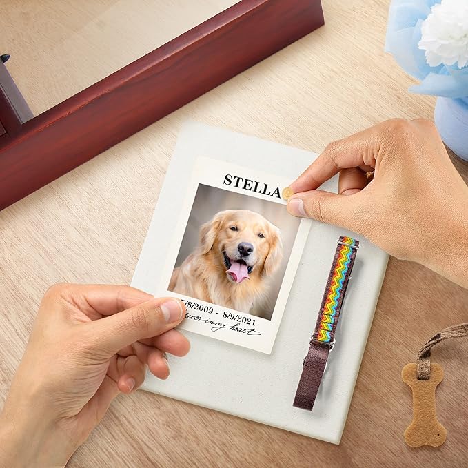 TJ.MOREE Dog Urns for Ashes - Memorial Display Case, Pet Sympathy Gifts - Best Friends Never Forgotten