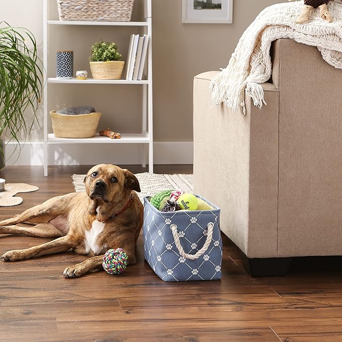 Bone Dry Pet Storage Paw and Bone, Trellis Collection, Small Rectangle, 14x8x9, Stonewash Blue