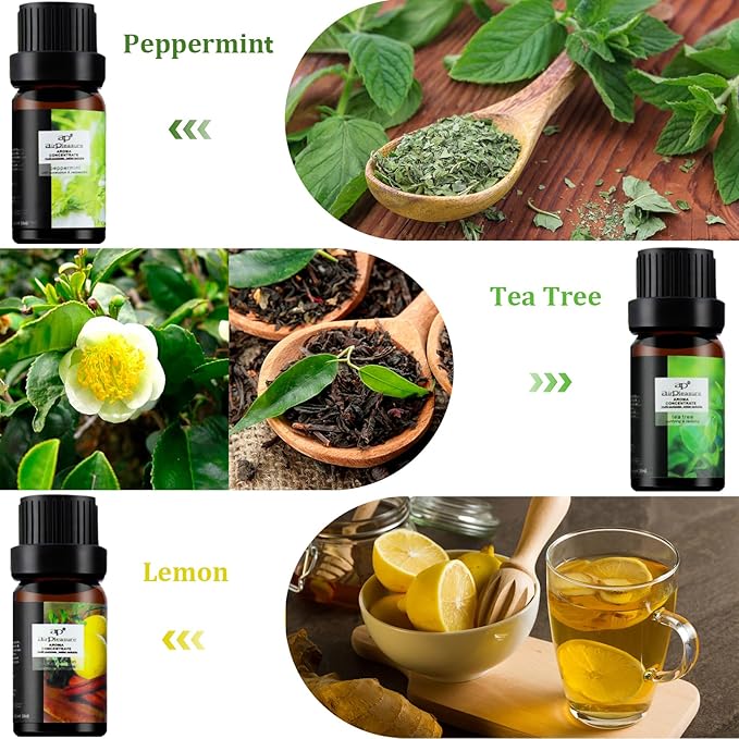 Fresh Essential Oils Set, 6x10ml Aromatherapy Oil Gift Kit for Diffuser, Fragrance, Humidifiers, Air Purifier- Tea Tree, Bergamot, Rosemary, Lavender, Lemon, Peppermint