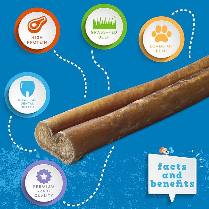 Jack&Pup 12 Inch Bully Sticks for Medium Dogs (5 Pack) Long Lasting Pizzle Sticks for Dogs | Single Ingredient, 100% Beef