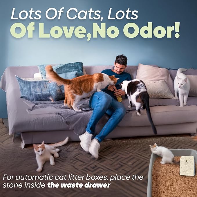 Natural Cat Litter Odor Eliminator Stone – Lifetime Reusable, Odor Neutralizer & Pet-Friendly Air Freshener –, Chemical-Free Cat Urine Smell Remover for Litter Box & Home Use