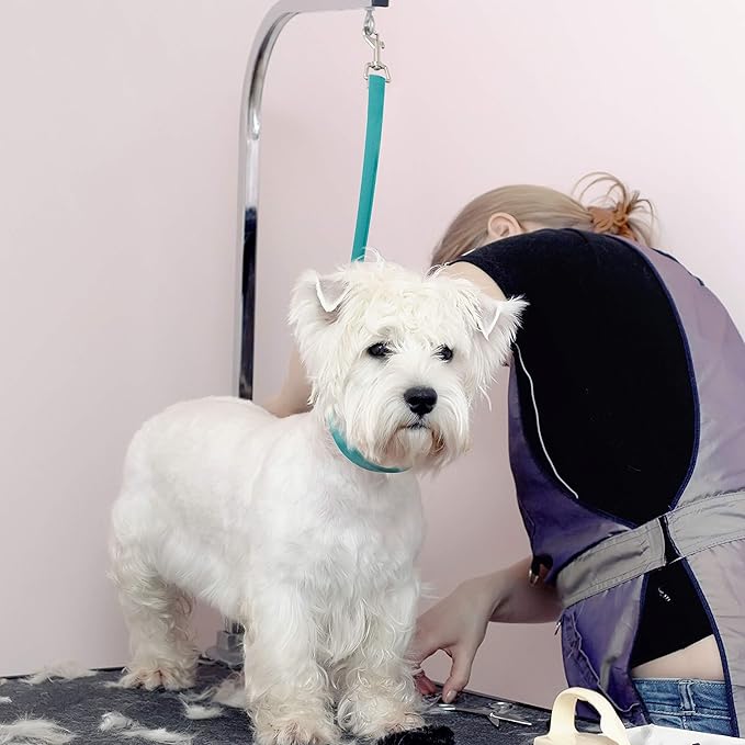 Jelly Pet Grooming Loop Slip Style (1/2" x 30", Hot Pink) | Made in The USA