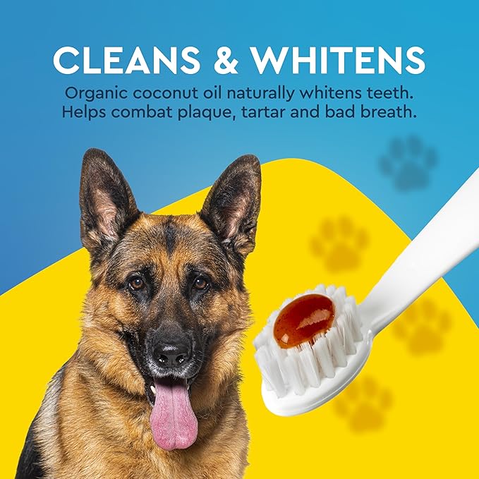 Radius USDA Organic Dental Solutions All Ages Dog Dental Kit 1 Unit, 1 Dog Toothbrush, 1 0.8oz Toothpaste, & 1 Travel Case, Firm Bristle & Non Toxic Toothpaste for Dogs
