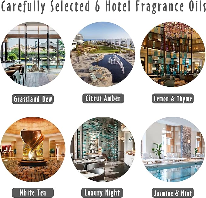 Hotel Fragrance Oils, MitFlor Diffuser Oil Scents for Home, Office, Fragrance Oil for Candle Soap Making, Aromatherapy Essential Oils - 6x10ml, Lemon & Thyme, Luxury Night, White Tea and More