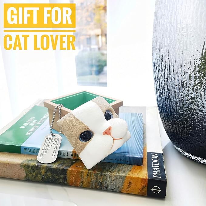 Cat Keepsake Box Memory Decorative Box Cat Portrait Gifts For Pet Owners And Pet Lovers Holds Jewelry Cat's Whiskers Fur and as a Memory Box(Ragdoll Cat)