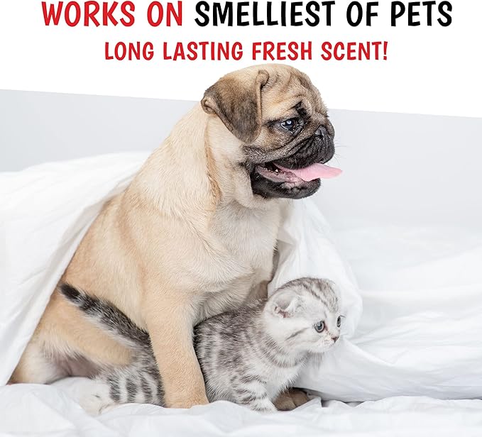 Warren London - Wet Kiss Dog Cologne, Long Lasting Dog Spray, Dog Deodorant to Remove Odor from Stinky Dogs, Papaya & Guava, 2 Ounce Bottle