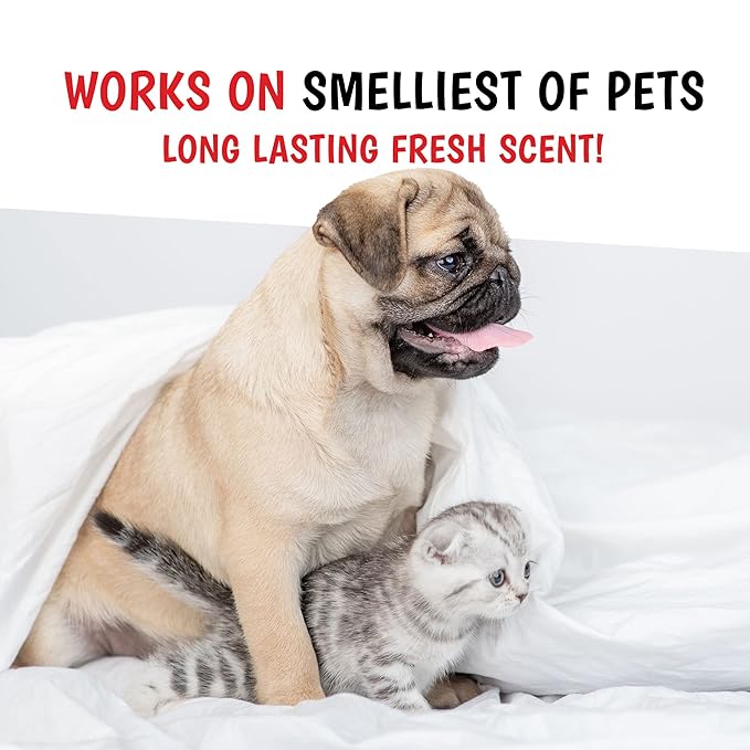 Warren London Wet Kiss Dog Cologne Spray – Papaya & Guava | Long-Lasting Odor Eliminator & Coat Freshener for Dogs & Cats | 16 oz