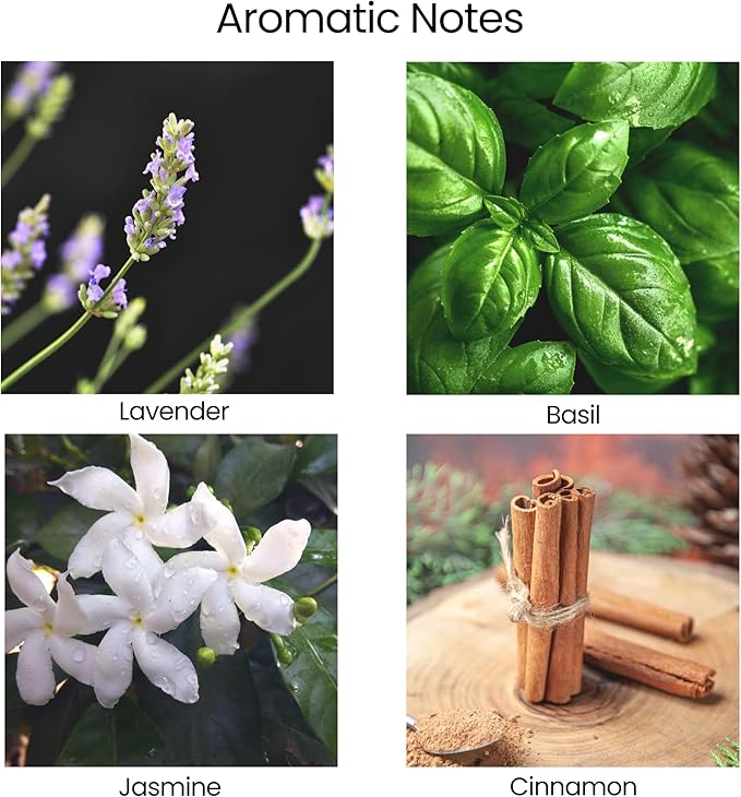 Natur IX Cleansing Scented Candles for Home | Sage & Palo Santo | Natural Non Toxic Soy Candles with Essential Oils | 50 H Long Burning | (Calm | Lavender, Basil & Jasmine)