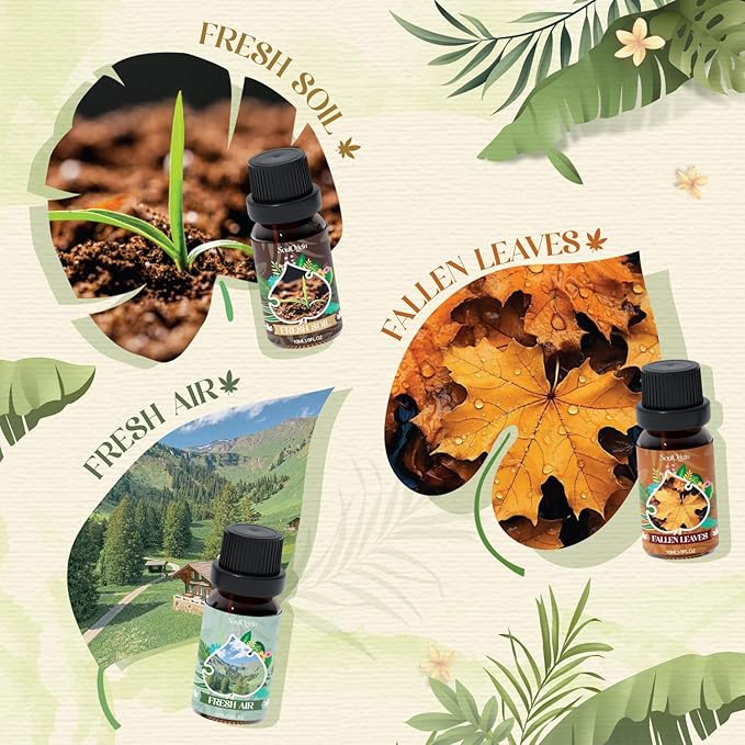 Woodland Fragrance Oils Set, Essential Oil Gift Set for Diffuser, Woody Scent Diffuser Oil, Diffuser Scents Oil for Home - Forest Pine, Teak, Bamboo, Fresh Soil, Fallen Leaves, Fresh Air