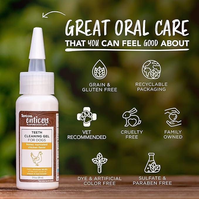 TropiClean Enticers Dog Teeth Cleaning Treat Gel | Honey Chicken Flavored Dog Toothpaste Alternative| 2 oz