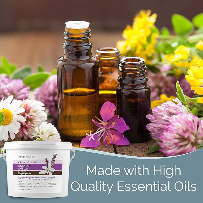 SMELLS BEGONE 1-Gallon Odor Absorber Gel - Air Freshener & Odor Eliminator for Homes, Garages & Commercial Buildings - Industrial Size - Lavender Vanilla Scent