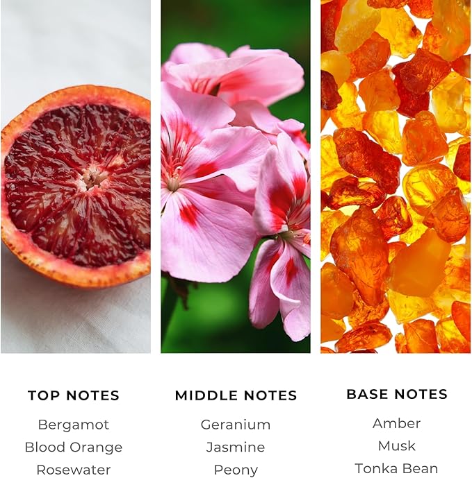 Brilliant Scents Diffuser Oil Refill, Inspired by Chateau De La Begude, Hotel Series Aroma Scents, Essential Oils Set for Home, Fragrance Oil for Candle Making, Home, 50 ML, French Riviera