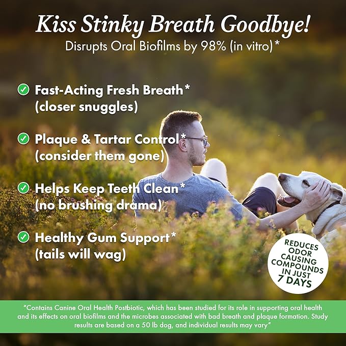 OTHER HALF Doggie Dental Supplement Powder - Dog Breath Freshener & Teeth Cleaning Made Easy - Oral Health Postbiotic for Dogs - Targets Tartar, Plaque & Bad Breath | 45 Scoops, Bacon Flavor