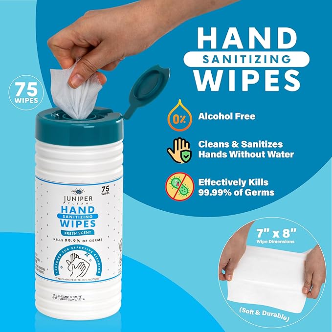 4 Pack Hand Sanitizing Wipes, Alcohol Free 300 Count Canister Disposable Hand Sanitizer Wipes, Fresh Scent, Lint Free & Durable