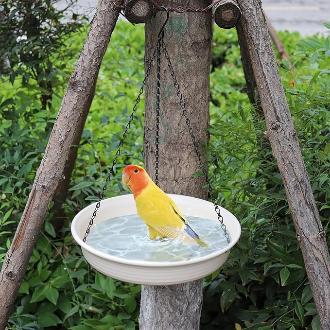 12 Inch Hanging Bird Bath, Bird Feeder and Drinking Fountain with Hook and Chain for Outdoor Garden Yard Patio