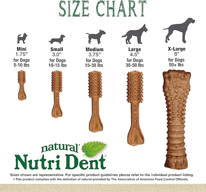 Nylabone Nutri Dent Dog Dental Chews - Natural Dog Teeth Cleaning & Breath Freshener - Dental Treats for Dogs - Filet Mignon Flavor, Mini (32 Count)