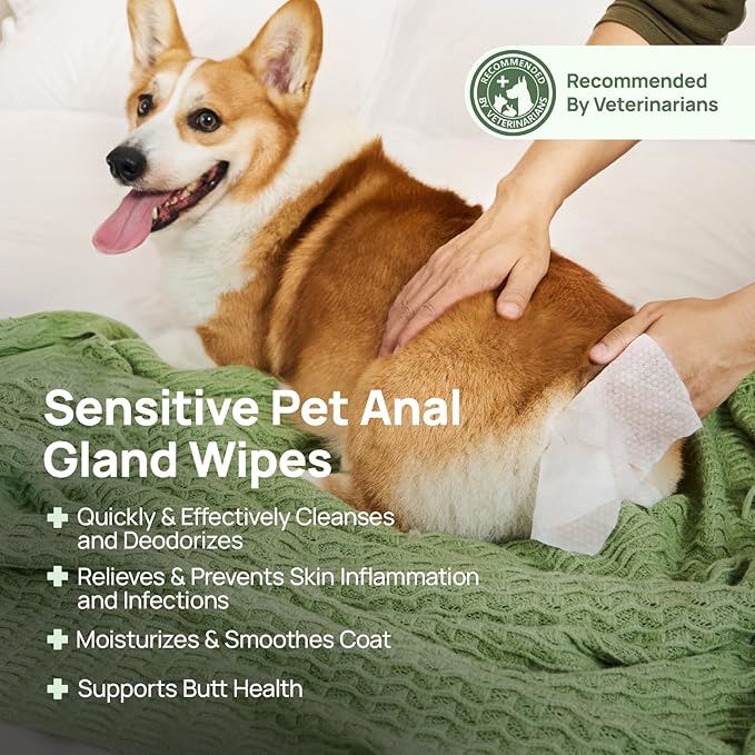 HICC PET Wipes for Dogs & Cats, Vet Recommended Cleansing Deodorizing & Soothing Allergy Infections Anal Gland Wipes with Coconut Oil, Dog Wipes for Cleaning Butt Paw, for Horse Skin, Coat & Hoof Care