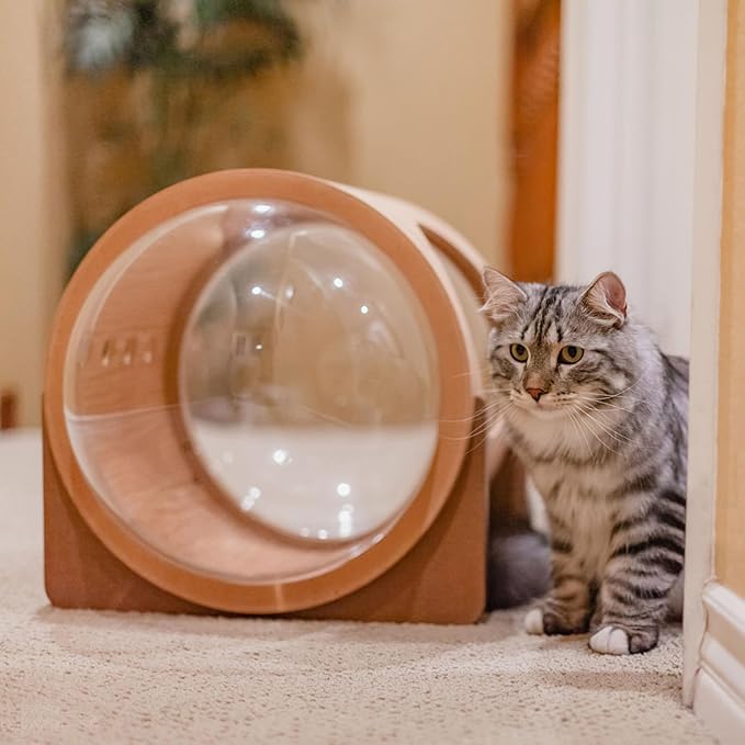 12.6" Acrylic Dome Clear Plastic Pet Cat Bubble Window Capsule Space Cover, Transparent Furniture Replacement for Nest Bed Hammock Catching Tree Shelves Window Perch Accessories, Cat Tree Not Included