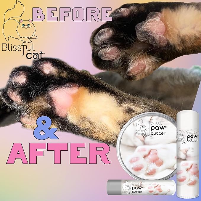 The Blissful Cat Paw Butter, Moisturizer for Dry Paw Pads, Softens and Protects a Rough Paw, Versatile, Lick-Safe Cat Paw Balm, 0.50 oz.