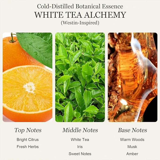 Luxury Hotel Scent Reed Diffuser Oil Gift Set, Hotel Collection Diffuser Oil Inspired by Ritz Carlton/Westin/Continental， Long-Lasting Room Fragrance Oil for Home, Office, Bedroom, Bathroom