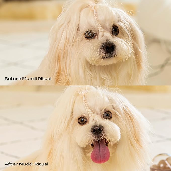 Dog Rinse-Free Shampoo & Conditioner with Bath Mitt – Sensitive Skin, Stress & Itch Relief Leave-In Cleanse Serum – 98.65% Naturally Derived, Gentle Cleanse, Hydrate & Deodorize – 8 x 10ml