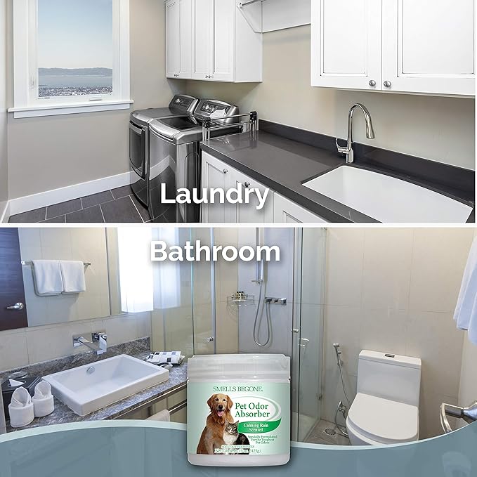 SMELLS BEGONE Pet Odor Absorber Gel - Air Freshener - Absorbs Odor from Bathrooms, Cars, Pet Areas, Boats & RVs - Made with Essential Oils - Calming Rain Scent - 15 Ounce