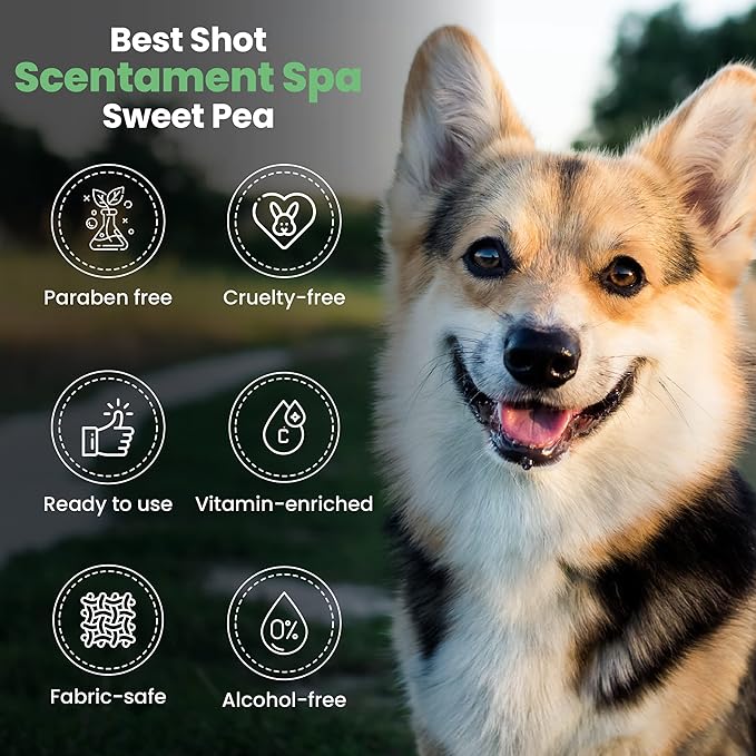 Best Shot Scentament Spa Botanical Body Spray, Body Spray Conditioner for Pets, Cat and Dog Cologne Spray, Sweet Pea, 8 Oz