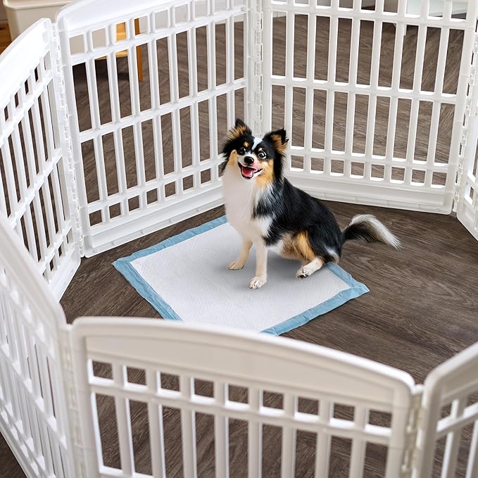 IRIS USA Dog Pee Pads – Puppy Essentials, Dog Pads, Quick Dry, Leak Proof, Thick Absorbent 6-Layer Design for Potty Training, Regular Size 22" x 22", 100 Count