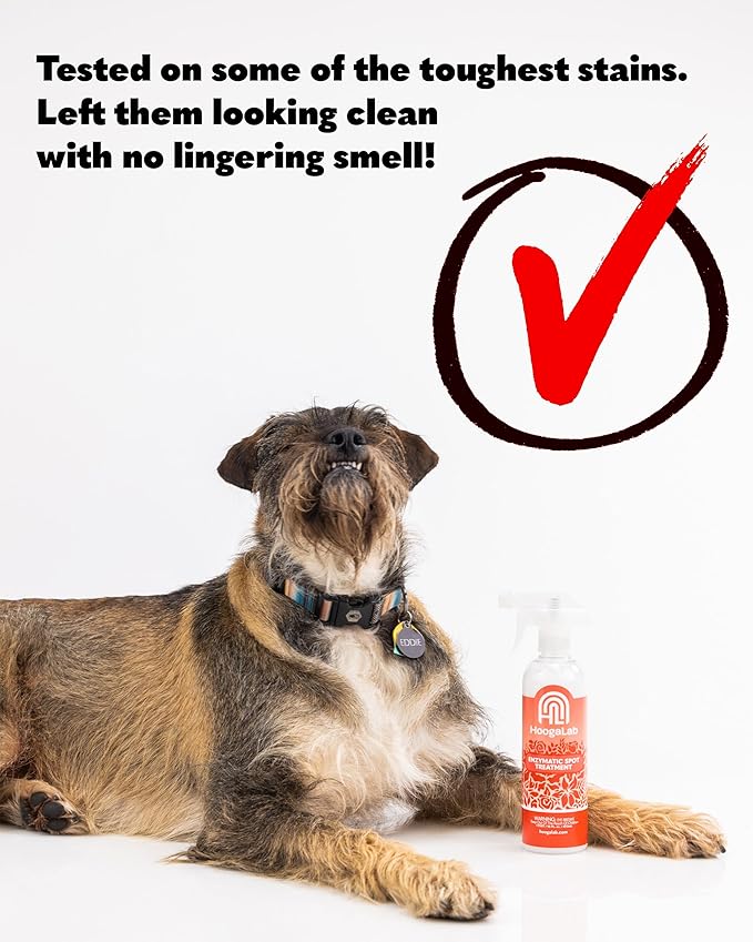 16oz Enzymatic Spot Treatment - Powerful Stain Remover for Tough Messes | Pet Cleaner, Elimate Organic Stains, Odors, and Residues From Carpet, Upholstery, and Fabrics! (2 pack)