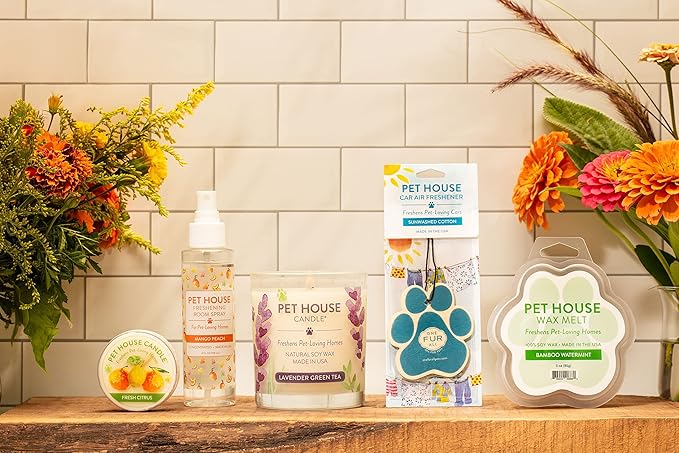 Pet House Candle Plant-Based Odor Friendly Candle, Clean Burning, Long Lasting Room Air Freshener with a 60 Hour Burn Time - Cucumber Mint