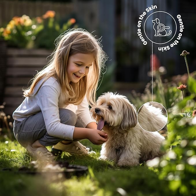 Best Shot ONE Shot Dry Clean Spray, Waterless Pet Grooming Spray for Pets, Alcohol-Free Formula, Safe for Any Dog, Cat, and Horse, 32 Oz.