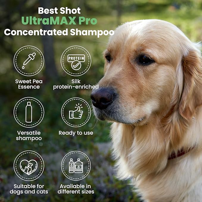 Best Shot UltraMAX Pro 4-in-1 Shampoo, Versatile Pet Shampoo, Ideal Pet Grooming Supplies, Ready to Use, Sweet Pea Essence, 17 Oz.
