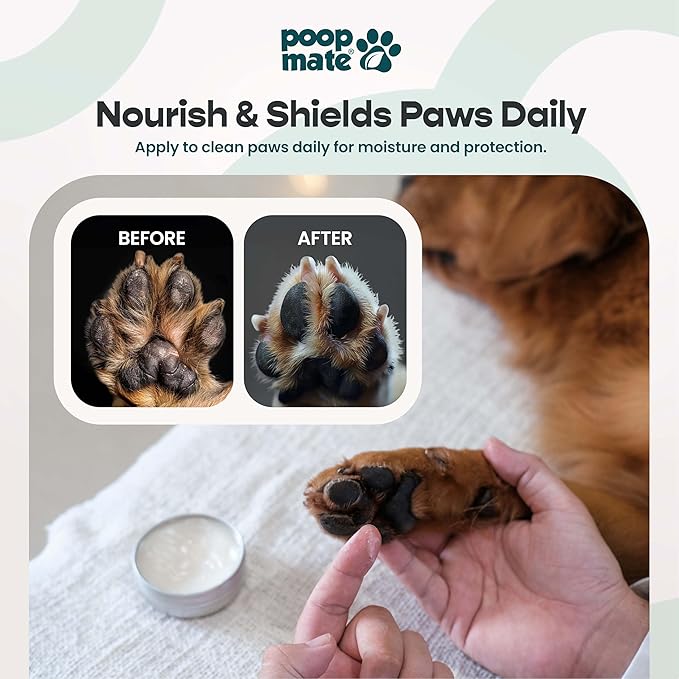 Dog Paw Balm & Nose Balm – Natural, Lick-Safe Paw Care for Dogs – Moisturizing Snout Cream with Coconut Oil, Shea Butter & Vitamin E – Protects Cracked Pads & Dry Noses – 2 oz