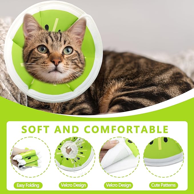 Soft Adjustable Cat Cone Collar, Comfortable Recovery Collar for Cats After Surgery (Kiwifruit, Medium)