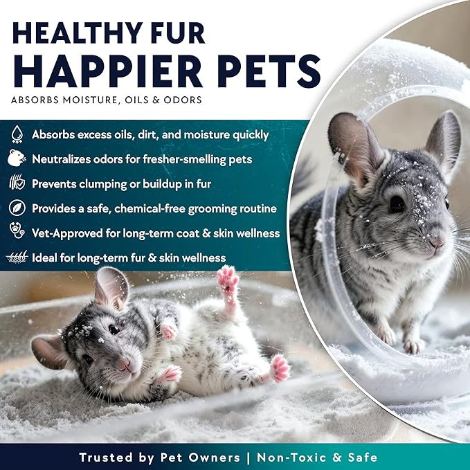 3 LB. Chinchilla Dust Bath Jar - Pure Cleansing Pumice Sand Dust for Cleaning Small Pets Like Gerbils, Mice, Degu - Premium, All Natural Dusting Powder - Chinchilla Accessories by Billy Buckskin