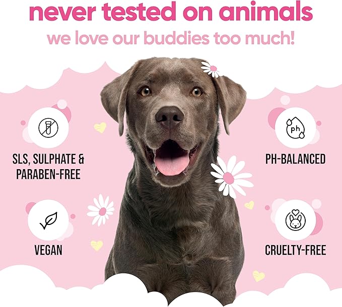 Baby Fresh Dog Shampoo by Buddycare | Deep Cleansing Shampoo for Dogs | Fresh Scented | with Aloe Vera and Pro Vitamin B5 (169.07oz)